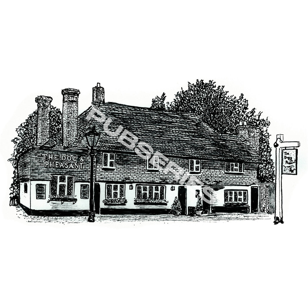 DOG & PHEASANT - Brook