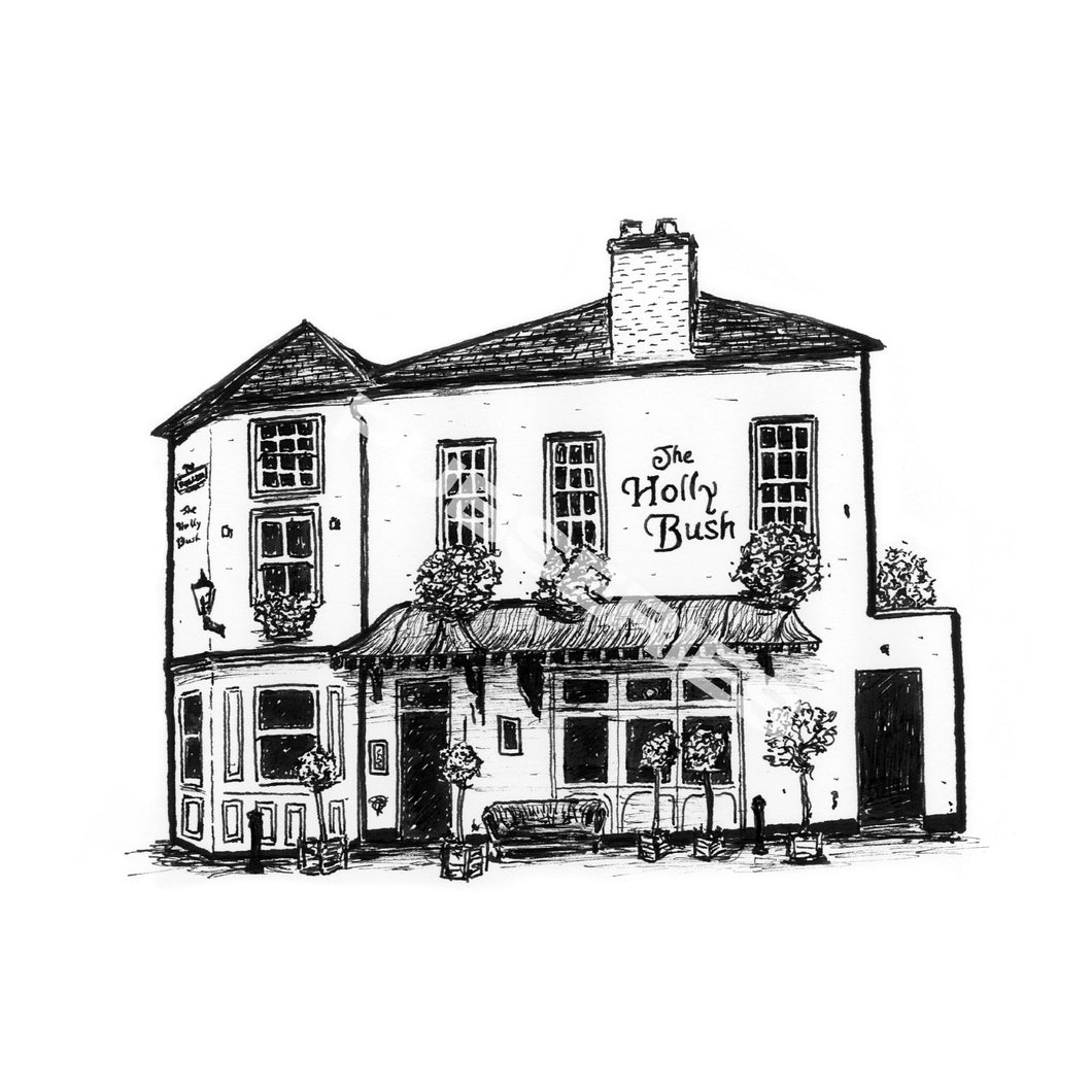 HOLLY BUSH - Hampstead