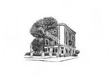 Load image into Gallery viewer, THE PHENE - Chelsea
